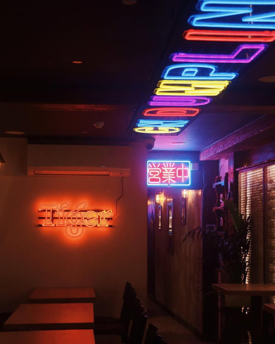 Snapinsta.app_434066619_1449075072652008_2660781966318475400_n_1080