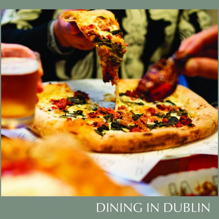 DUBLIN PIZZA SHOPS visual data 8